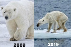The only 10 year challenge we should be talking about. - EcoAction Recycling